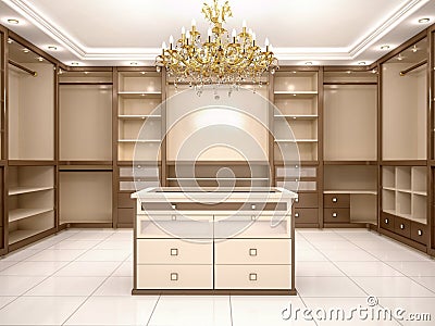 Illustration of Big empty walk in wardrobe in luxurious house Cartoon Illustration