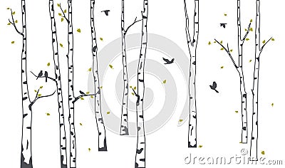 Birch tree with green falling leaves and birds silhouette Vector Illustration