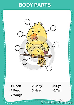 Illustration of bird vocabulary part of body Vector Illustration