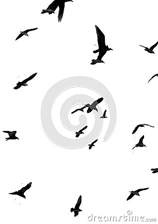 Illustration of birds flying with art brushes Stock Photo