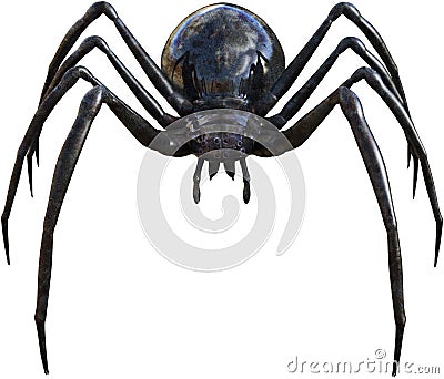 Black widow spider insect isolated Stock Photo
