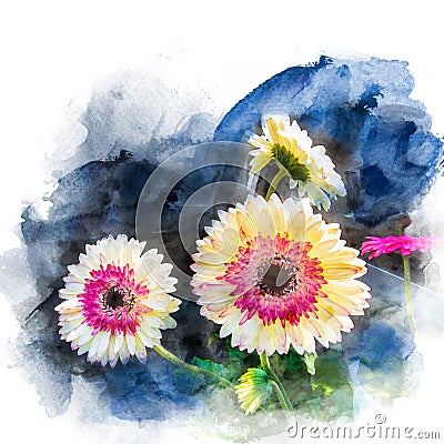 Illustration of blossom gerbera. Stock Photo