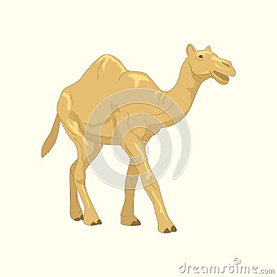 Illustration of Brown Desert Camel Vector Illustration