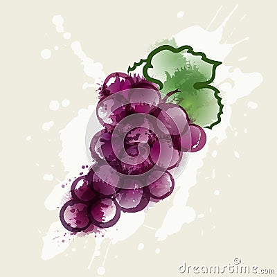 Illustration bunch of grapes. Color spots. Handmade strokes. Stock Photo