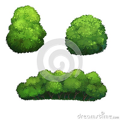 Illustration of a bush Stock Photo