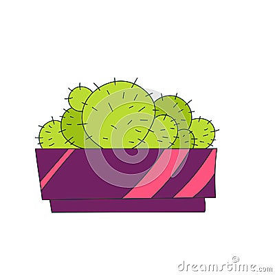 Illustration of cactus. Vector. Cacti vector illustration Vector Illustration