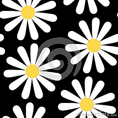 Camomile flowers seamless pattern vector black background Stock Photo
