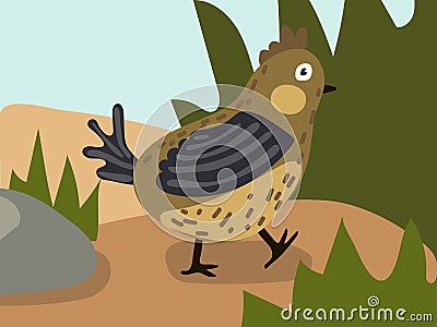 Illustration of a cartoon bird in the grass. An illustration with a funny quail. A quail at its usual place of Vector Illustration