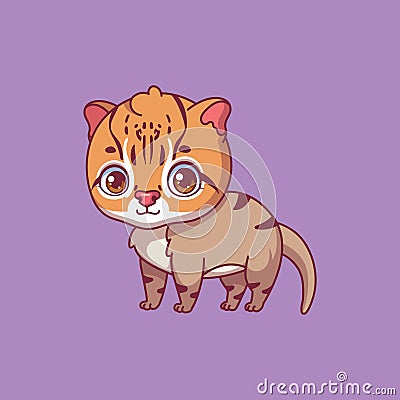 Illustration of a cartoon flat headed cat on colorful background Vector Illustration