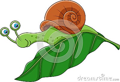 Cartoon funny snail on a leaf Vector Illustration