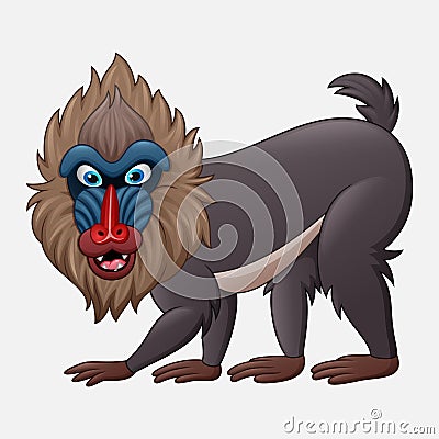 Cartoon mandrill baboon isolated on white background Vector Illustration