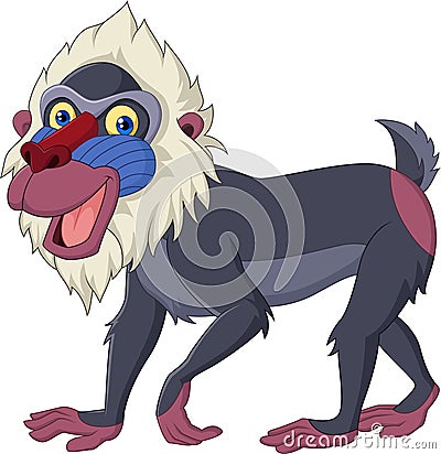 Cartoon mandrill baboon isolated on white background Vector Illustration