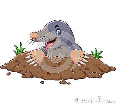 Cartoon mole come out of the hole Vector Illustration