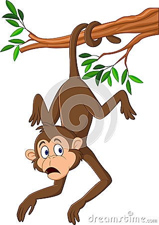 Cartoon monkey hanging on the tree branch with his tail Vector Illustration