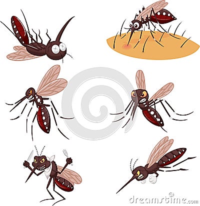 Cartoon mosquito collection set Vector Illustration