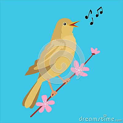 Illustration of a cartoon nightingale singing on a sakura branch Vector Illustration