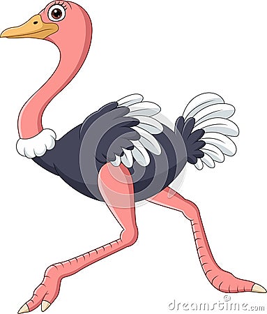 Cartoon ostrich running isolated on white background Vector Illustration