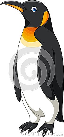 Cartoon penguin on white background Vector Illustration