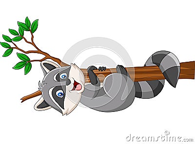 Cartoon Raccoon on the tree branch Vector Illustration