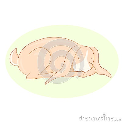 Illustration of cartoon sleeping rabbit Vector Illustration