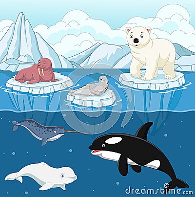 Cartoon wild arctic animal on north pole Vector Illustration