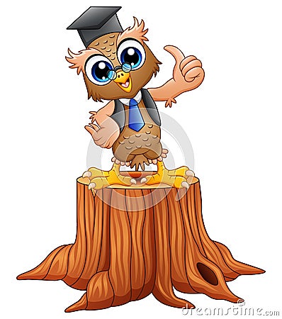 Cartoon wise owl in graduation cap on tree stump Vector Illustration