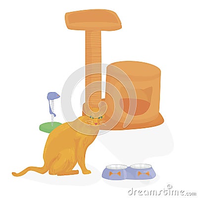 Illustration cat sits of a small house on a white background, next to accessories for pets. cat house, food bowl, toys. ginger cat Vector Illustration