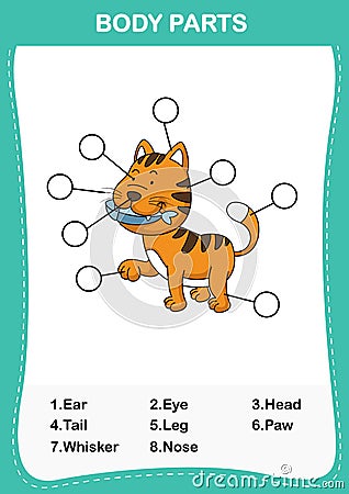 Illustration of cat vocabulary part of body Vector Illustration