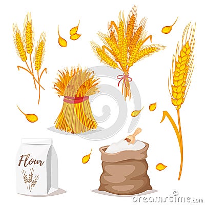 Illustration of cereals - wheat. Vector Illustration