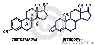 Illustration of chemical formula for male and female hormones Testosterone and Estrogen Cartoon Illustration