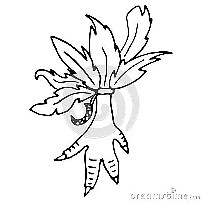 Illustration of a chicken paw with feathers. Amulet with feathers to protect property from enemies Vector Illustration