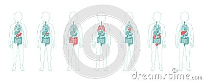 illustration of child internal organs in boy body Vector Illustration