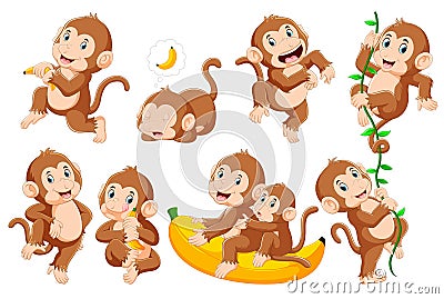 Collection of monkey in different poses Vector Illustration