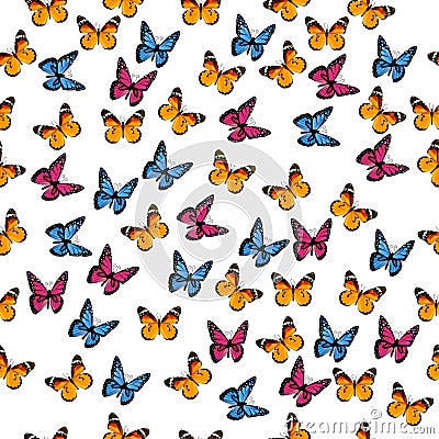 Illustration of a colorful butterfly Vector Illustration