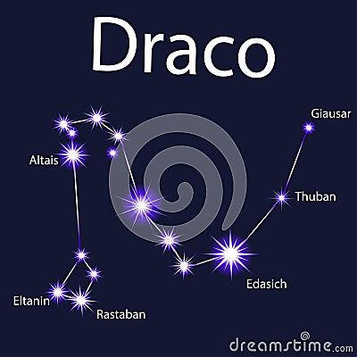 constellation Draco with stars in the night Vector Illustration