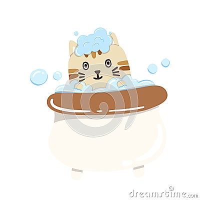 Cream-colored cat taking a bath Stock Photo