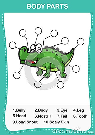 Illustration of crocodile vocabulary part of body,Write the cor Vector Illustration