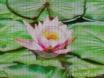 Illustration. Cross-stitch. Water lily, nymphaeum. Stock Photo