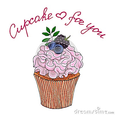 Illustration of a cupcake decorate with pink cream and blueberries, blackberry, isolated on a white background Vector Illustration