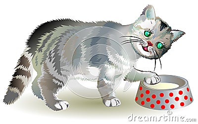 Illustration of curious gray kitten looking for food in a bowl. Vector Illustration