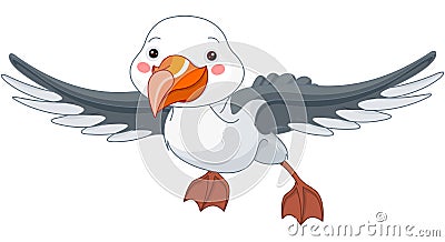 Albatross Vector Illustration