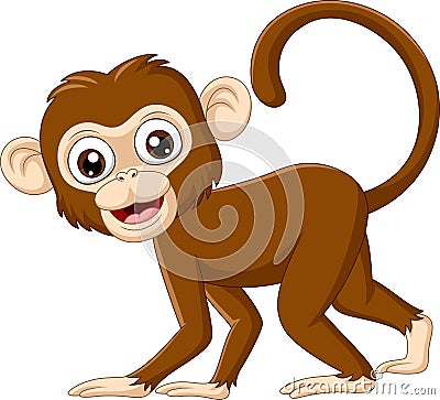 Cute baby monkey on white background Vector Illustration