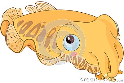 Cuttle Fish Vector Illustration