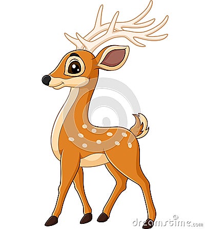 Cute deer cartoon Vector Illustration