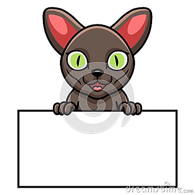 Cute korat cat cartoon holding blank sign Vector Illustration