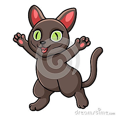 Cute korat cat cartoon raising hands Vector Illustration