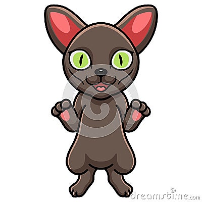 Cute korat cat cartoon standing Vector Illustration