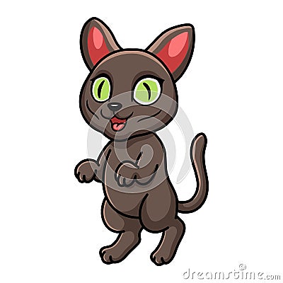 Cute korat cat cartoon standing Vector Illustration