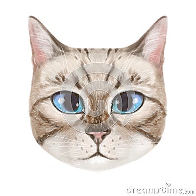 Illustration of a cute light tabby cat. Feline pleasant light charming portrait. Cat with blue eyes and light coat looking Stock Photo