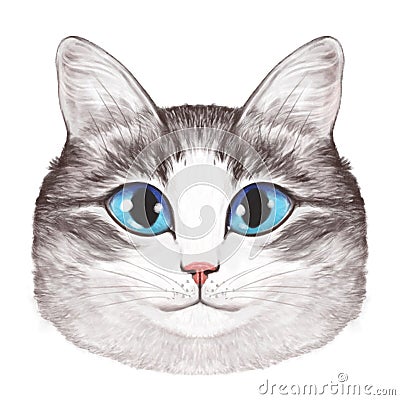 Illustration of a cute light tabby cat. Feline pleasant light charming portrait. A cat with blue eyes looking straight ahead. cat Stock Photo